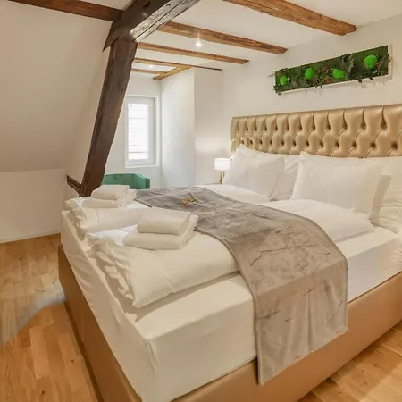 Visimo Steigerstrasse St Gallen - Modern Living Near Olma & Hospital 4* St. Gallen